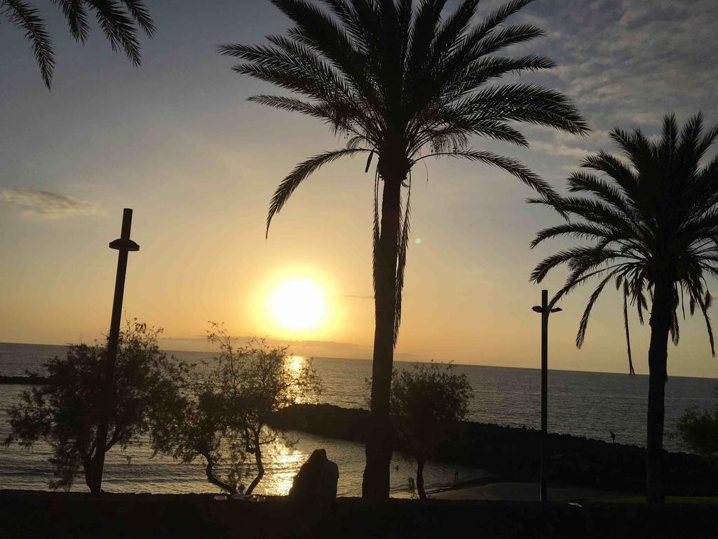 Palm - Excel & 3* Playa de las Americas (Tenerife)